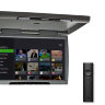 Android 23,6" USB/ HDMI/ AV потолочный FullHD монитор AVEL AVS2230XMPPG серого цвета