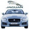 Электро-доводчики на 4 двери для Jaguar XE до 2015 , 2 передних 2 задних