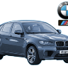 Электро-пороги для BMW X6 series E71 кузов с 2008 по 2014